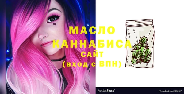молекула духа Пестово