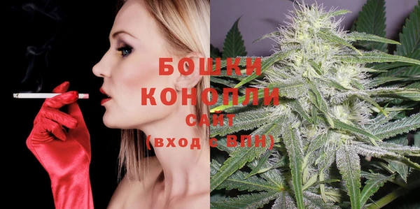 молекула духа Пестово